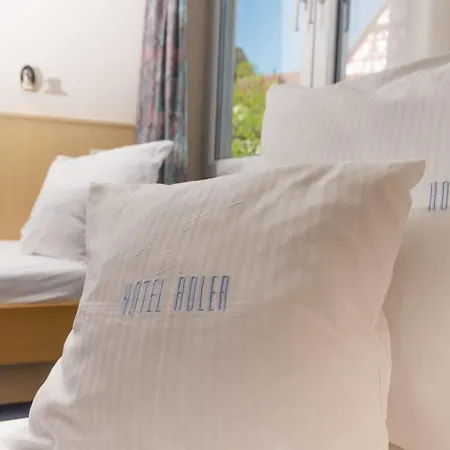 Hotel Adler 3*