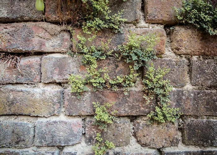 Adler Waiblingen (Stuttgart)